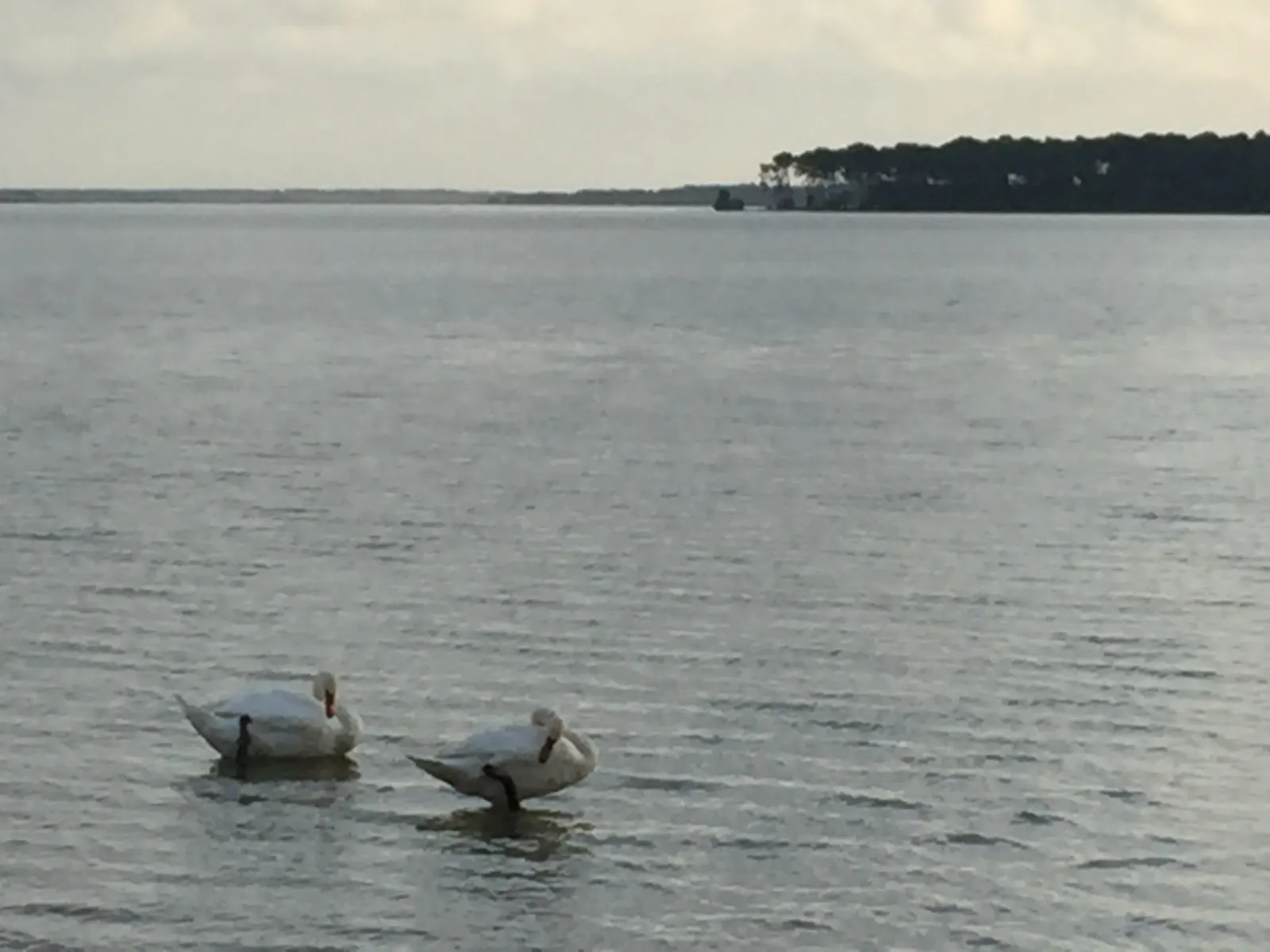 le lac juste en face de nous