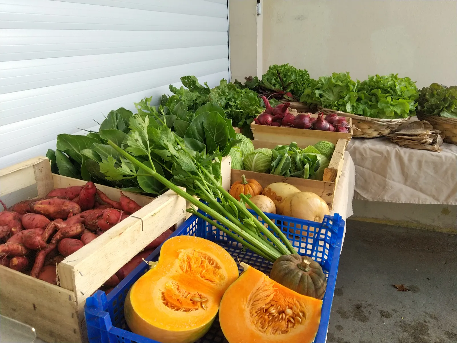 stand de vente de légumes bio