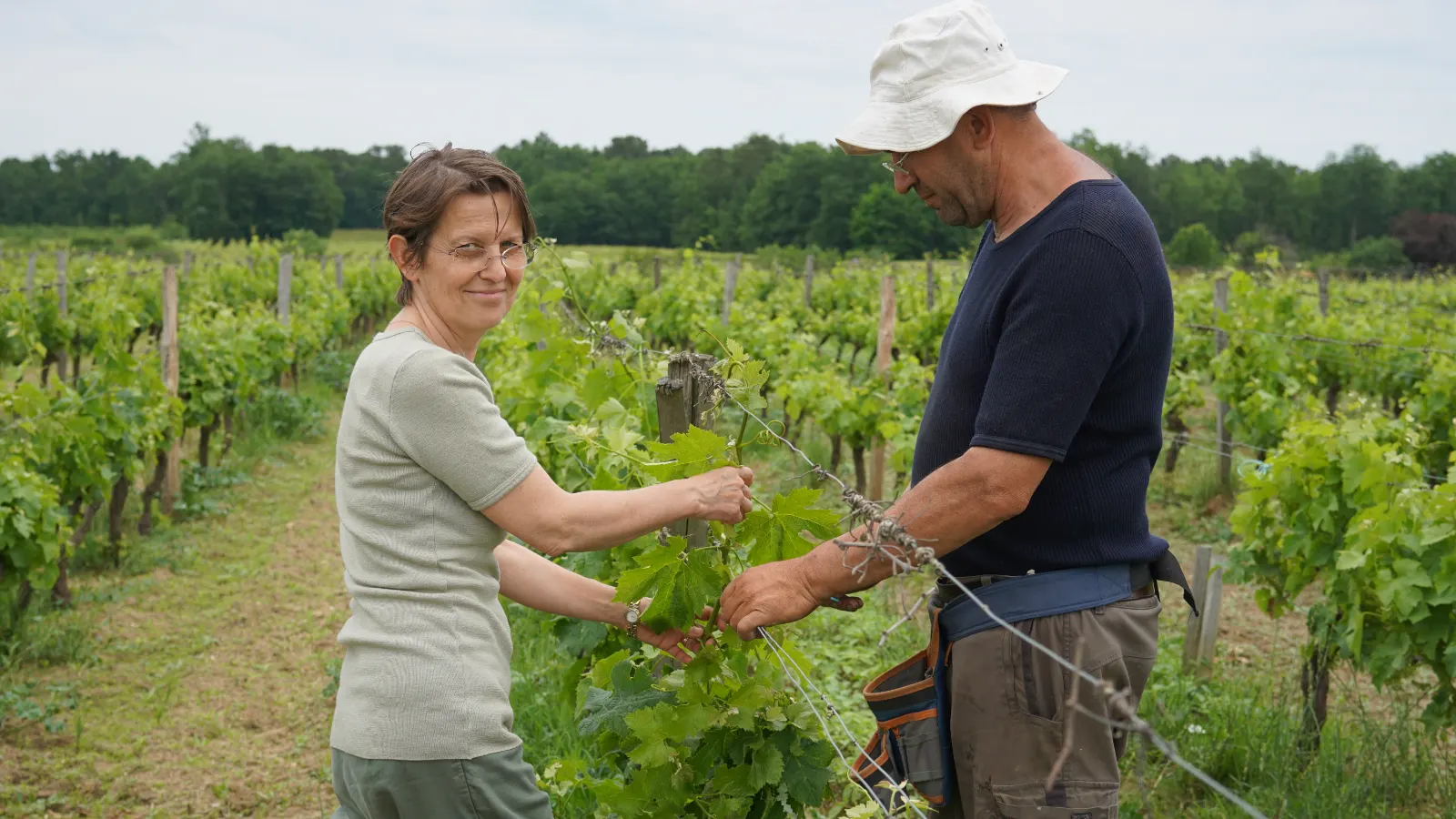 Travail dans les vignes