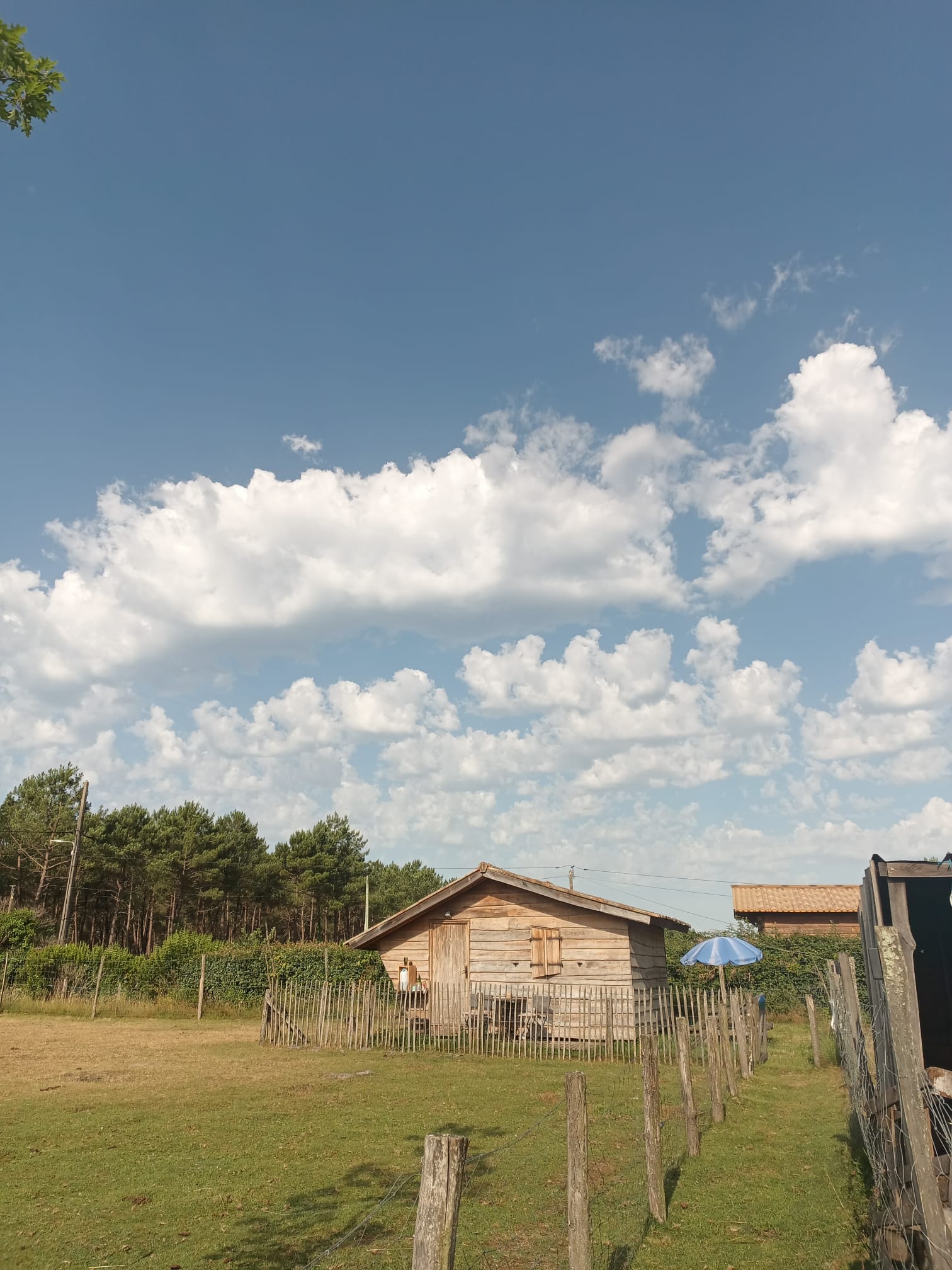 Cabane à la Ferme
