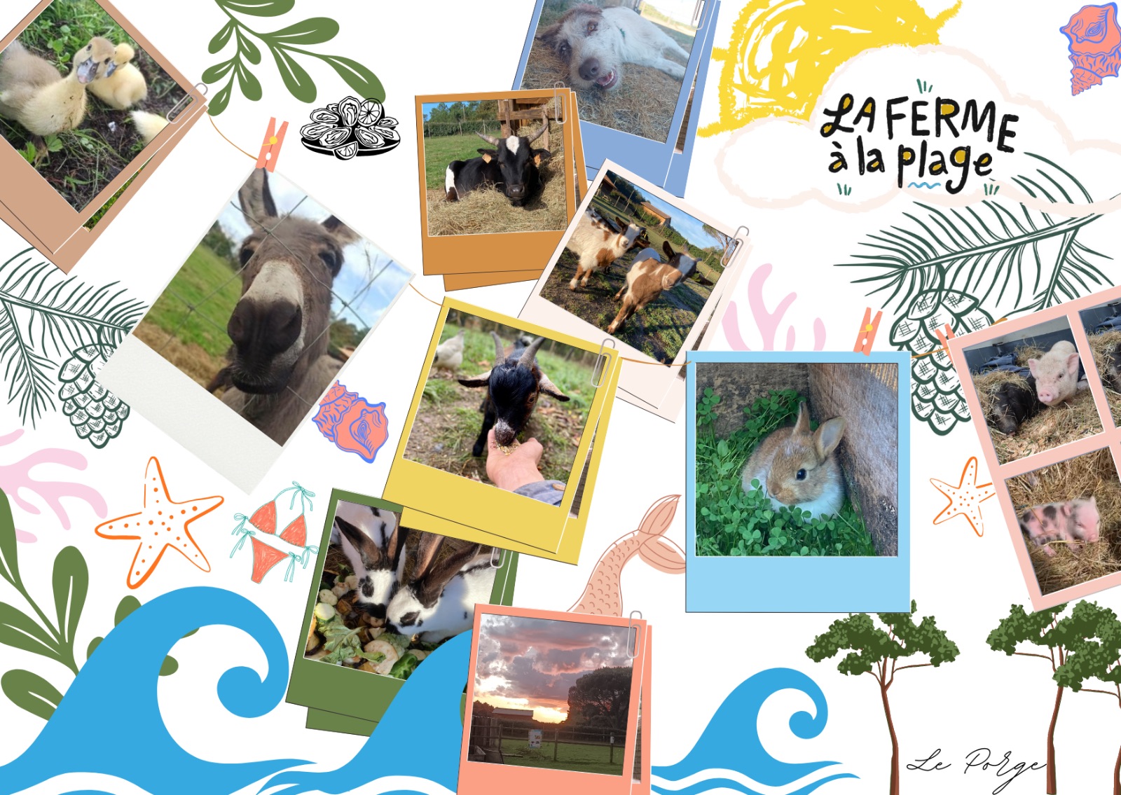 Florilège d'animaux