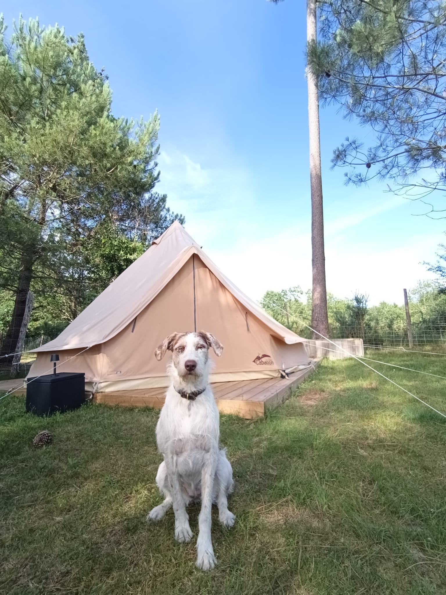 Tipi à la Ferme
