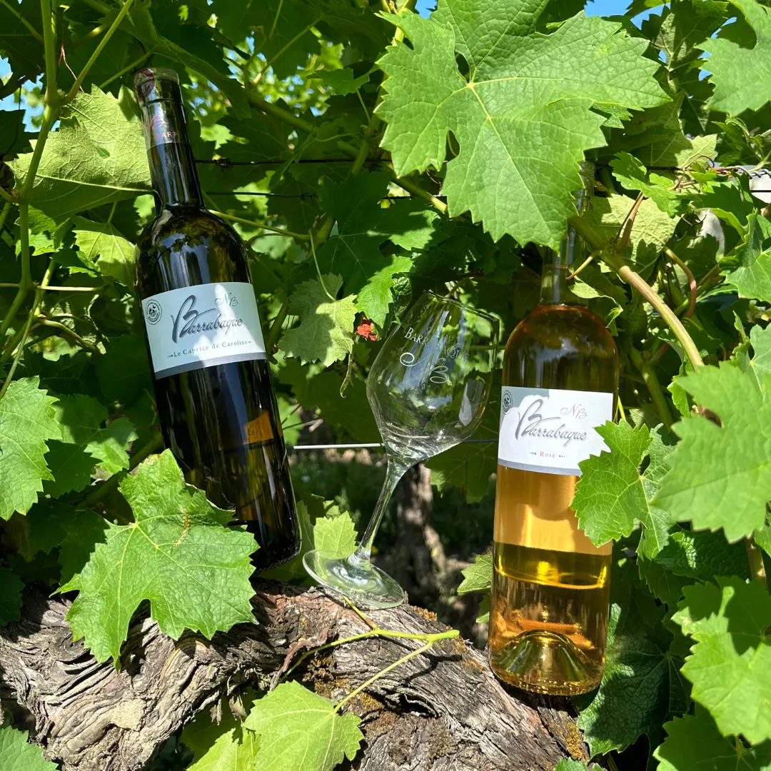 CHATEAU BARRABAQUE