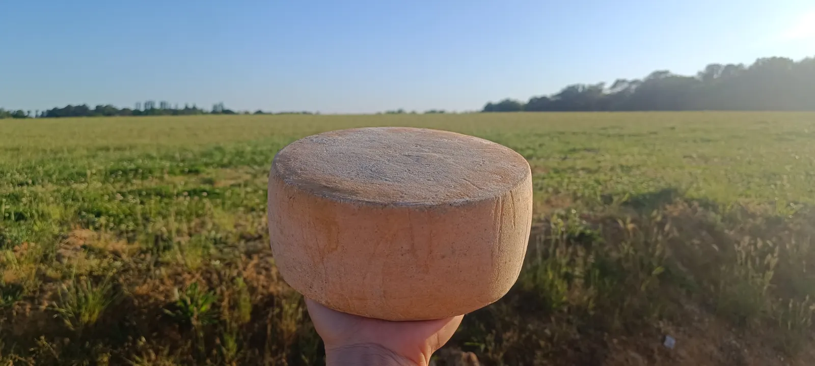 Tomme de brebis 3 mois et Demi ( affiner sur la propriété)