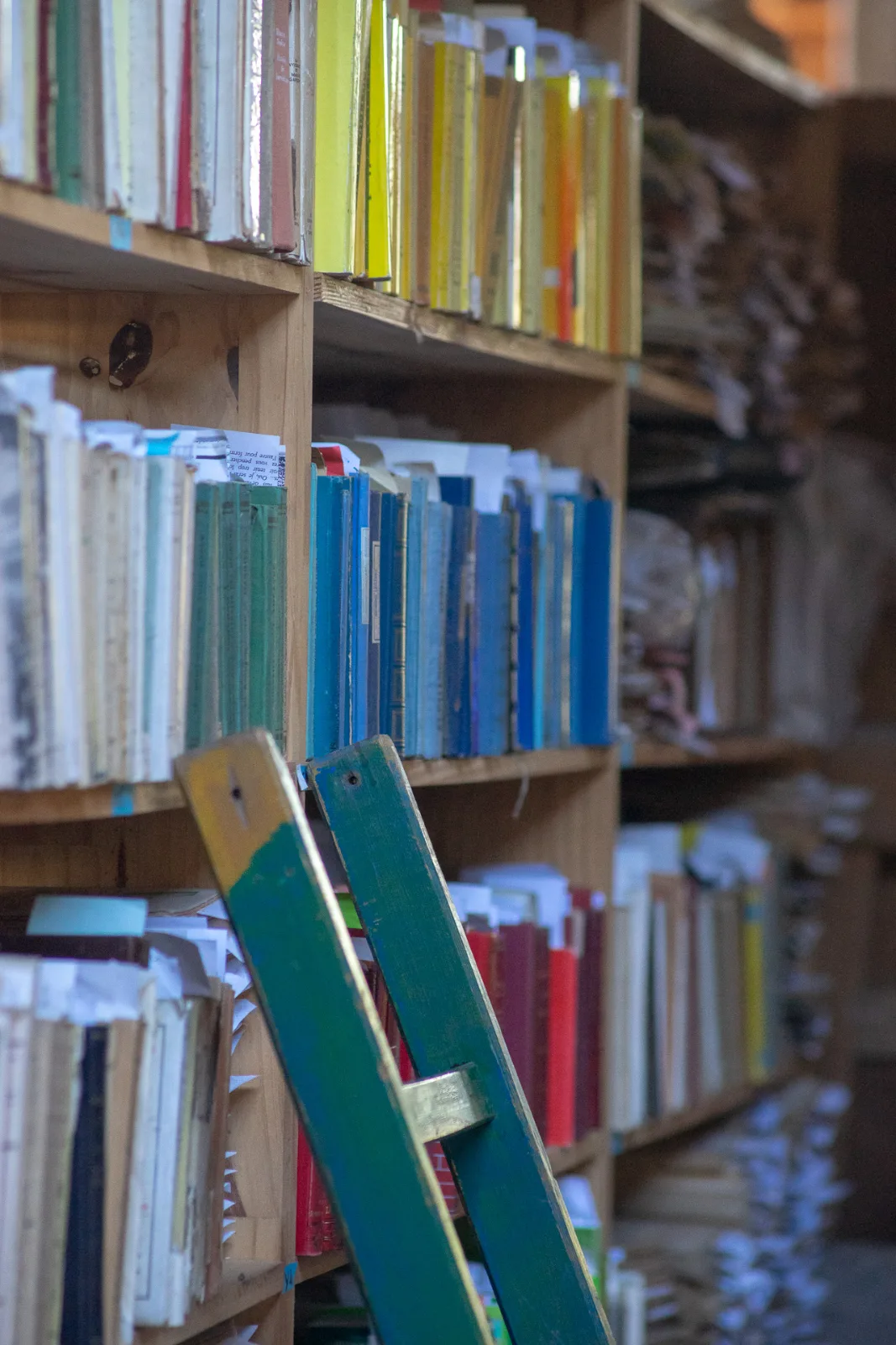 Des livres triés par couleurs et une échelle