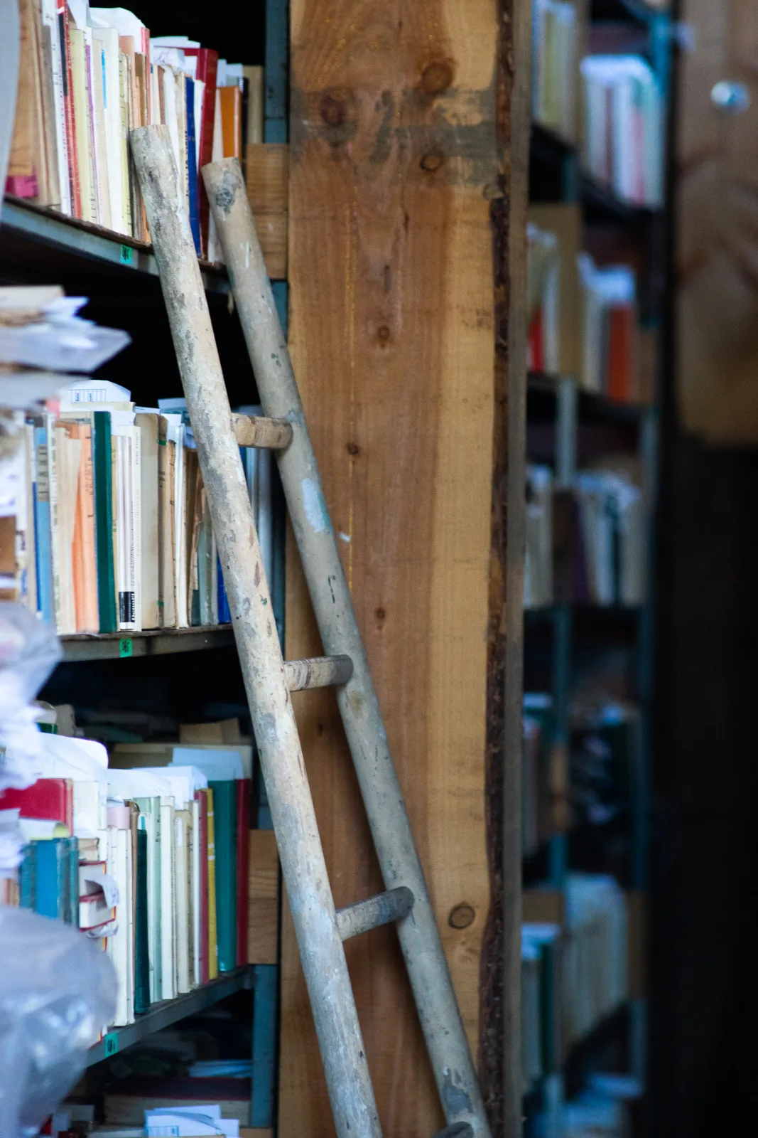 des rayonnages de livres
