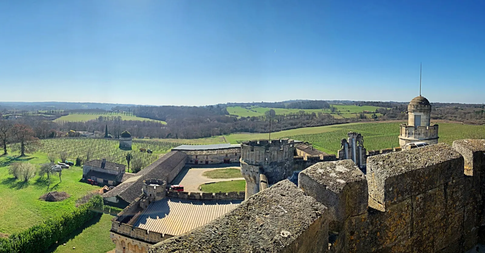Vue panoramique sur le vignoble depuis le sommet du château
