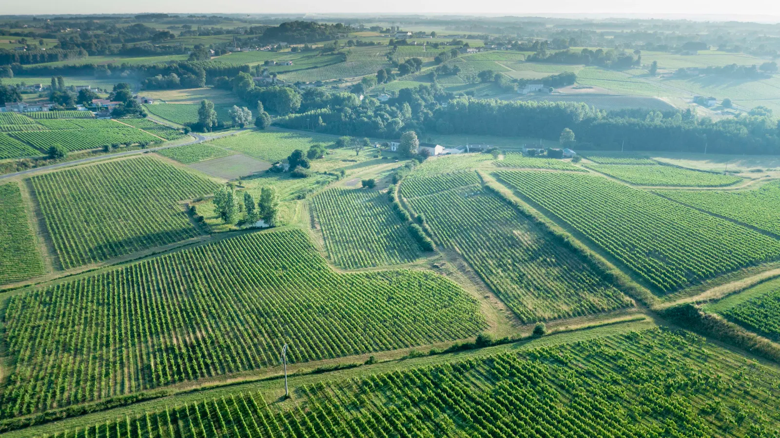 Le domaine