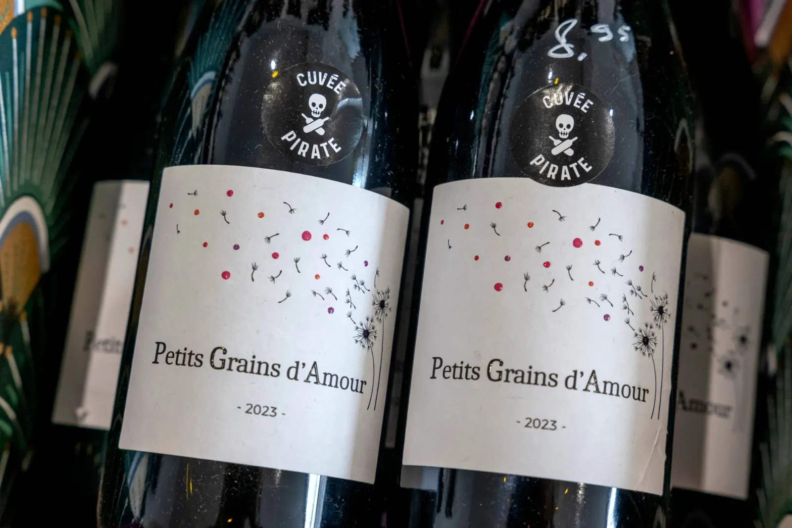 Cave Vins Rebelles Talence cuvée Bordeaux Pirate